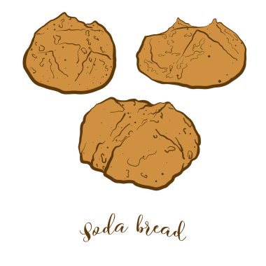 Renkli Soda ekmeği çizimi. Soda ekmeğinin vektör çizimi, genellikle İrlanda, Amerika ve İskoçya 'da bilinir. Renkli Ekmek çizimleri.