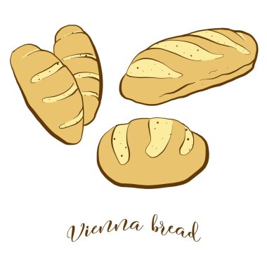 Viyana ekmeğinin renkli çizimi. Genellikle Avusturya, Viyana 'da bilinen Yapraklı gıdaların temsili. Renkli Ekmek çizimleri.