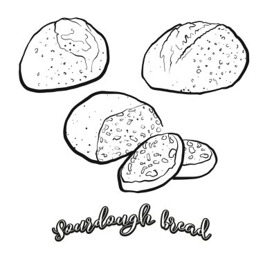 Sourdough bread food sketch separated on white. Vector drawing of Sourdough, usually known in Fertile Crescent. Food illustration series. clipart