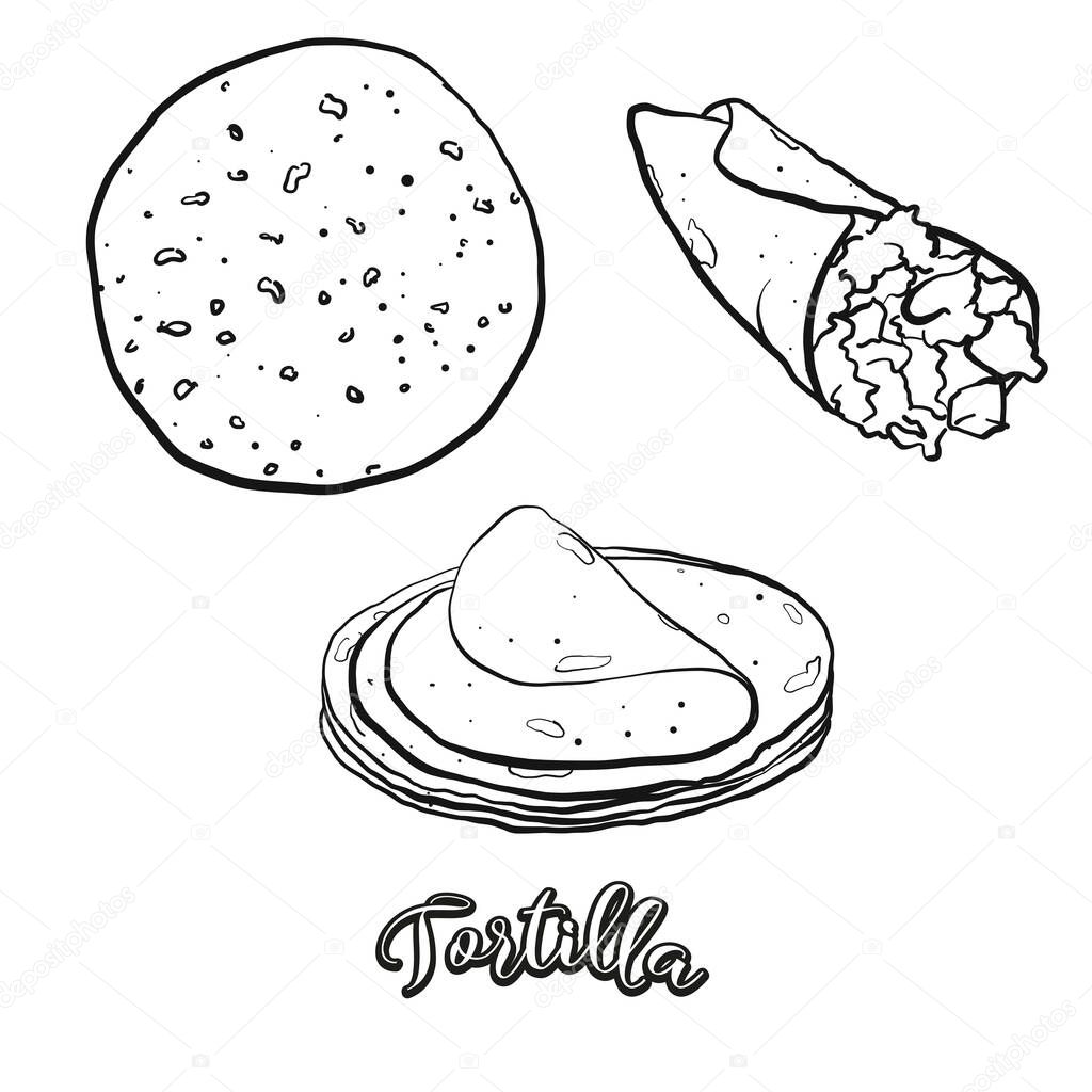 Tortilla food sketch separated on white. Vector drawing of Flatbread, usually known in Mexico. Food illustration series.