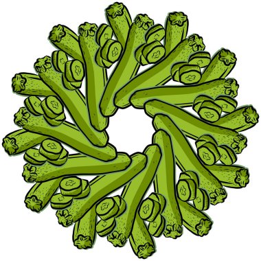 Kabaklar daire şeklinde dizilmiş. Elle çizilmiş sebzelerle kusursuz yuvarlak kompozisyon. Beyaz arkaplanda vektör illüstrasyonu.