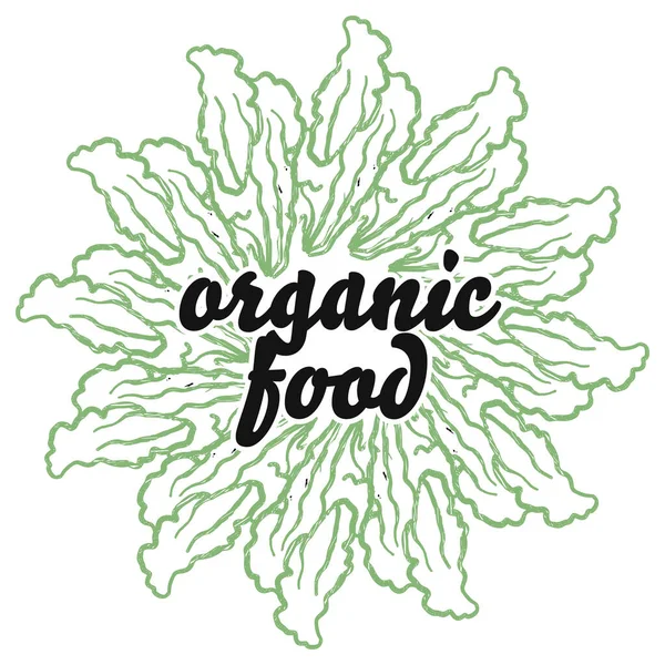 Marul Arka Planında Organik Gıda Tabelası Var Sanat Eserleri Için — Stok Vektör