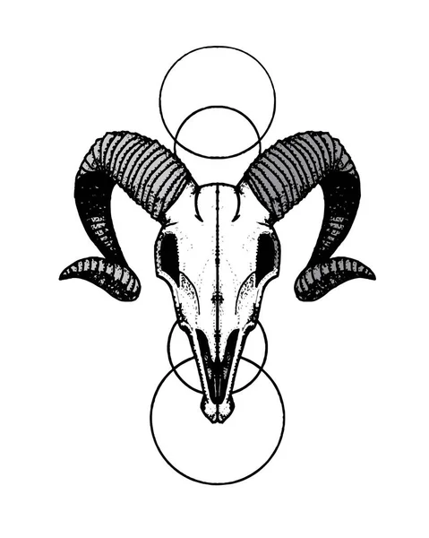 Decoratieve lijn Ram Scull — Stockvector