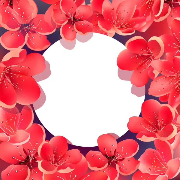 Sakura Floral φόντο με πλαίσιο. — Διανυσματικό Αρχείο