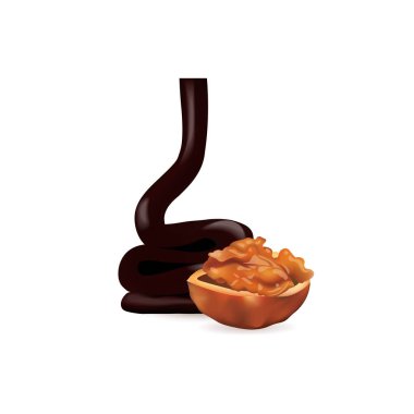 Çikolata ile ceviz. 3D vektör çizim