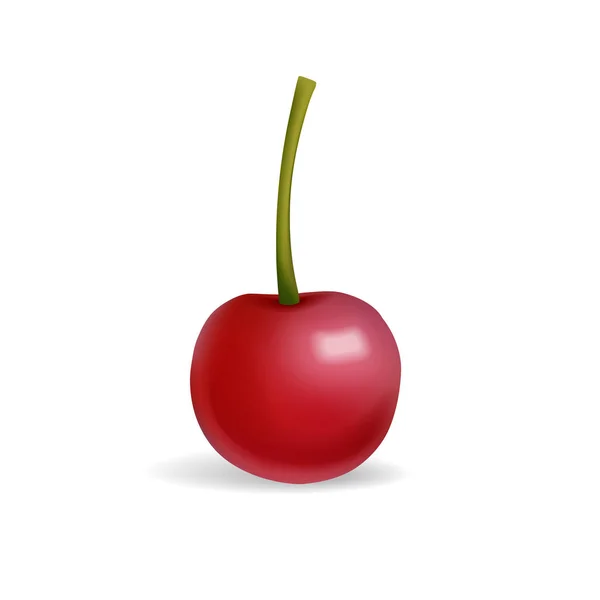 Cherry berry vector — Stockvector