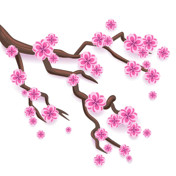Κλάδος της ροζ sakura. Ιαπωνικά κεράσι άνθη. — Διανυσματικό Αρχείο
