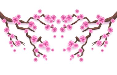 Pembe sakura dalı. Japon kiraz ağacı çiçeği.