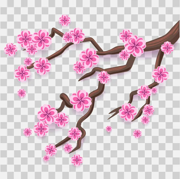 Розовая сакура. Цветок японской вишни . — стоковый вектор