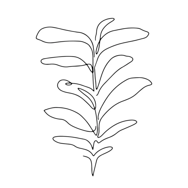 Abstraktní jedno souvislé liniové umění s botanickou ilustrací s listy, okvětními lístky a trávou. Jednoduchá digitální ilustrace. Stažení vektorového grafického návrhu — Stockový vektor