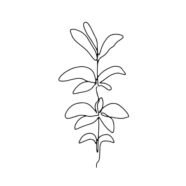 Astratto una linea continua arte con illustrazione botanica con foglia, petalo ed erba. Semplice illustrazione digitale. Grafica vettoriale scaricare — Vettoriale Stock
