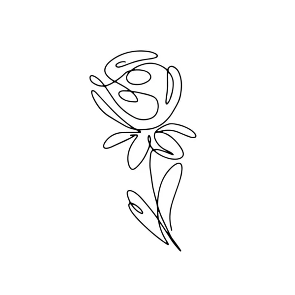 Abstract one continuous line art with botanical illustration with rose. Simple digital floral illustration. Vector graphic design download — Stock Vector