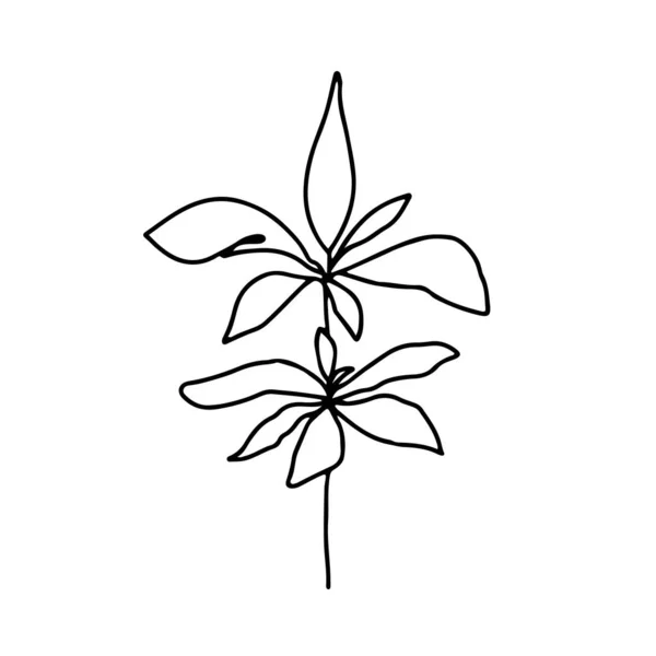 Continue lijnillustratie met blad, plant met bladeren. — Stockvector