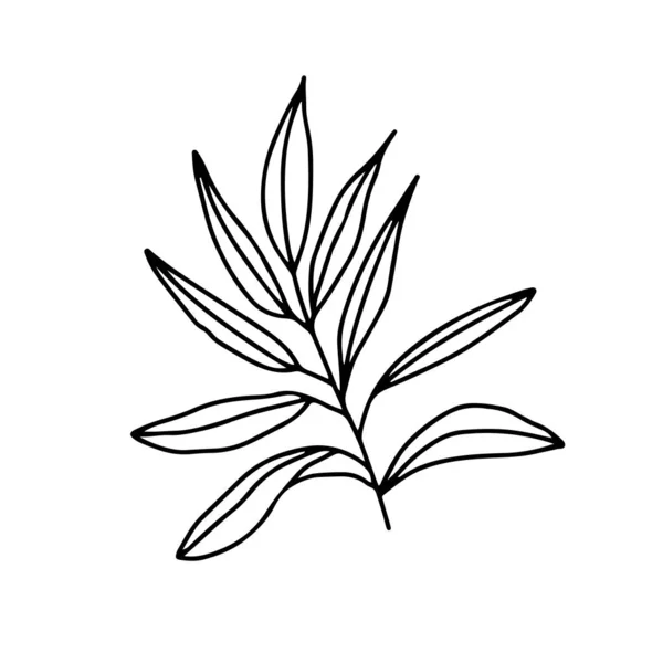 Continue lijnillustratie met blad, plant met bladeren. — Stockvector