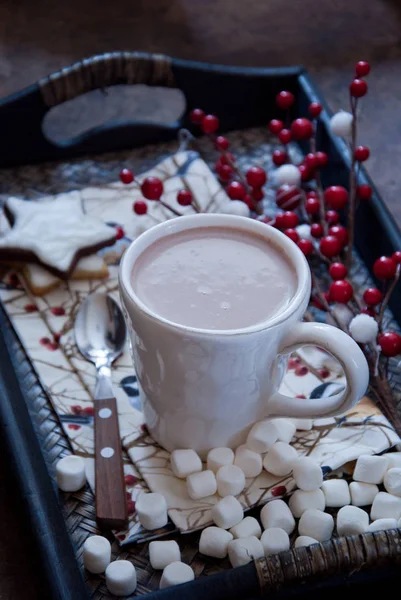 Hot chocolate with marshmallows at Christmas Time — Stock Photo, Image