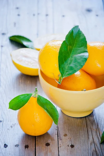 Friss bio citrom — Stock Fotó