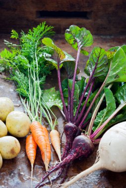 Kahverengi ahşap arka plan üzerinde Homegrown organik kök sebzeler