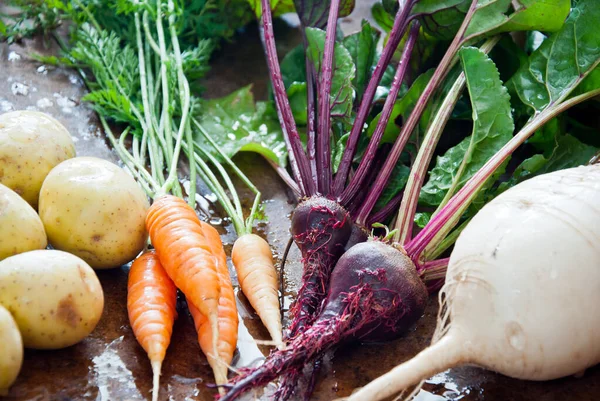 Homegrown organic root vegetables on brown wooden background