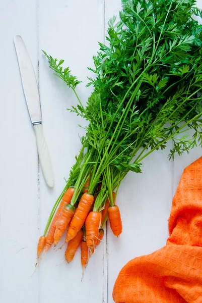 Manojo de zanahorias orgánicas frescas con tapas — Foto de Stock