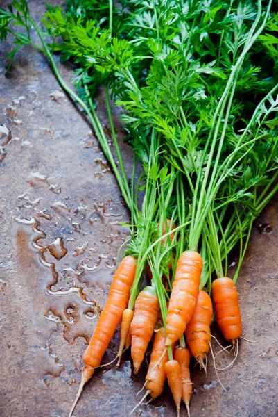 Sekumpulan wortel organik segar dengan puncak — Stok Foto