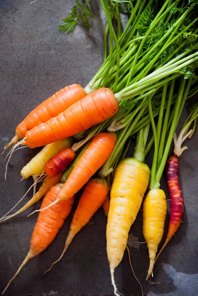 Zanahorias multicolores orgánicas de cosecha propia con hojas verdes — Foto de Stock