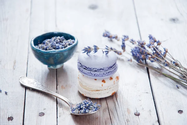 Gourmet pequenos macarons franceses coloridos com sabor a lavanda — Fotografia de Stock