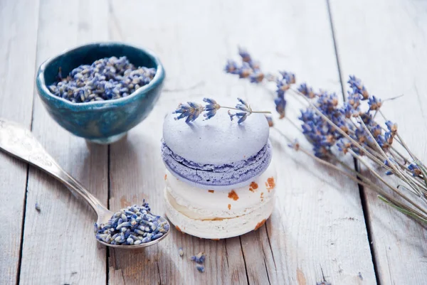 Gourmet pequenos macarons franceses coloridos com sabor a lavanda — Fotografia de Stock