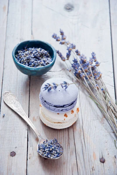 Gourmet pequenos macarons franceses coloridos com sabor a lavanda — Fotografia de Stock