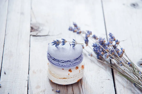 Gourmet pequenos macarons franceses coloridos com sabor a lavanda — Fotografia de Stock