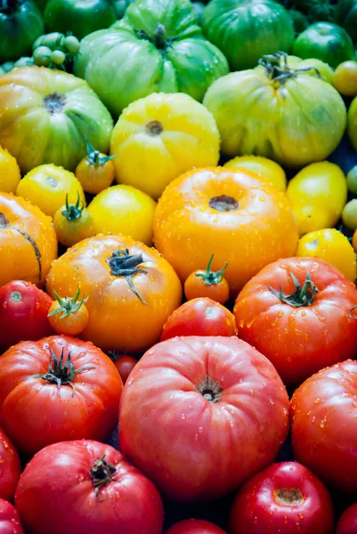 Frische rote, gelbe und grüne Bio-Tomaten — Stockfoto