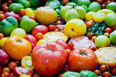 Taze aile yadigarı domatesler, çiftçi pazarında organik ürünler.