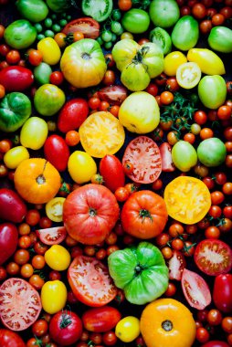 Taze organik kırmızı, yeşil ve sarı domatesler.