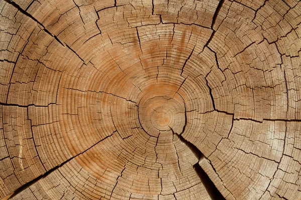 Bölümünde eski ahşap günlükleri 