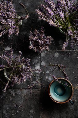 Koyu arkaplanda çok güzel bir lavanta