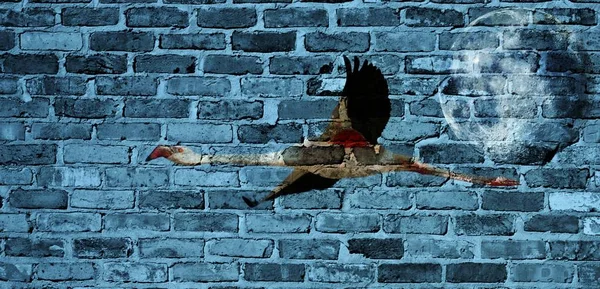 Gökyüzündeki flamingo...