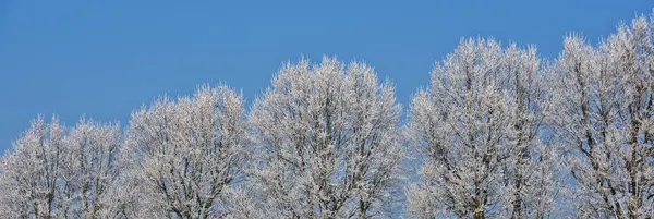 Mañana fría de invierno — Foto de Stock