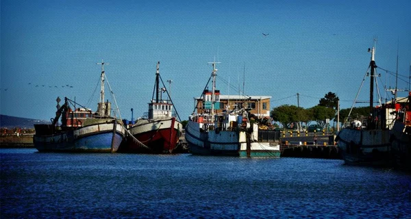 Barcos de pesca retirados — Foto de Stock