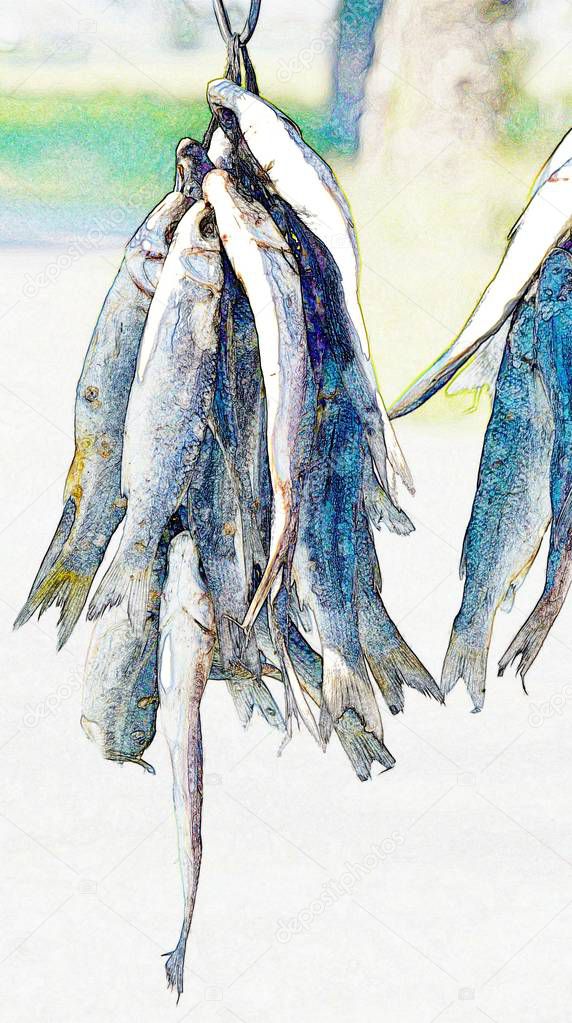 Close up of hung up Bokkoms dried fish