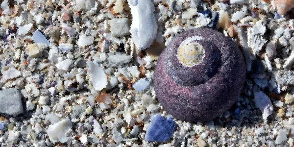 Close Purple Sea Snail House Beach Sand — Stock Photo, Image