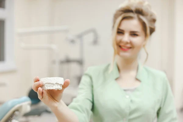 Kobieta lekarz ortodonta pokazuje gipsie szczęki górnej — Zdjęcie stockowe