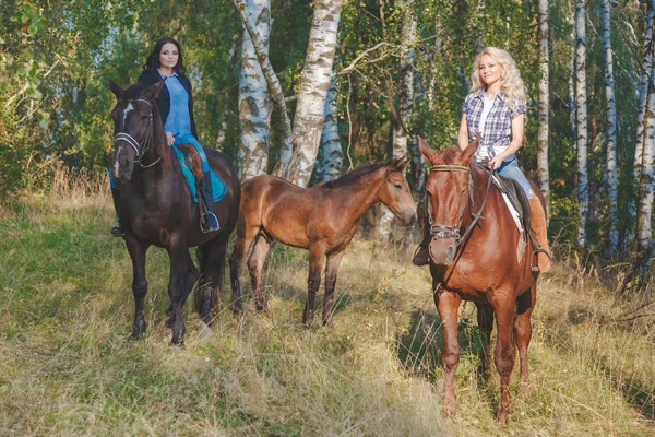 Two female equestrians with purebred brown horses and foal between them