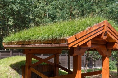 Şarap mahzeni çim kaplı çatılı girişi. Doğal ekoloji kavramı.