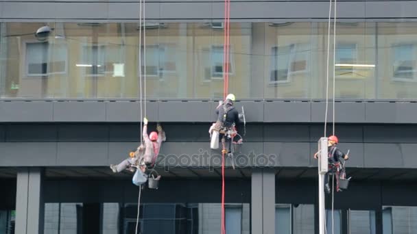 Industrial washers climbers wash an administrative building — Stock Video