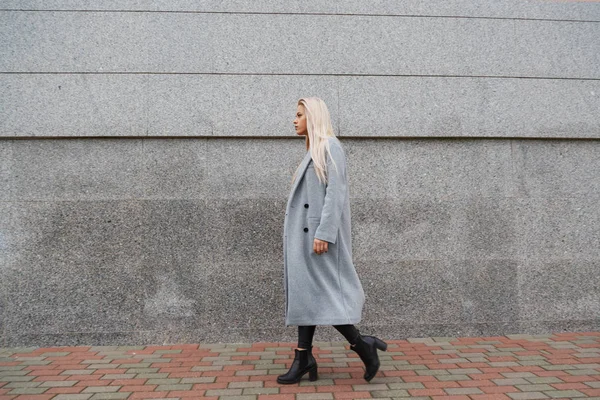 Retrato de estilo de moda de joven hermosa mujer elegante en abrigo de piel gris caminando en la calle de la ciudad — Foto de Stock