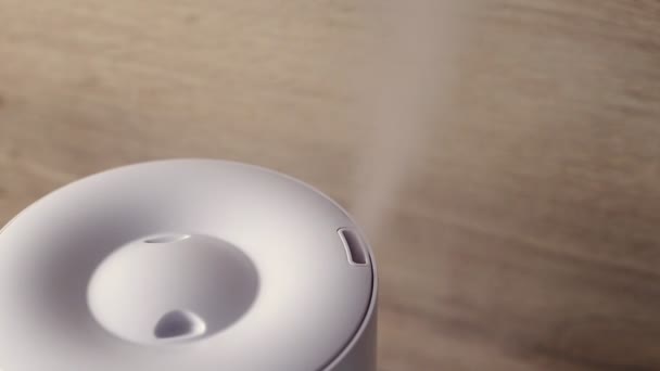 Haushaltsbefeuchter verbreitet Dampf im Wohnzimmer — Stockvideo