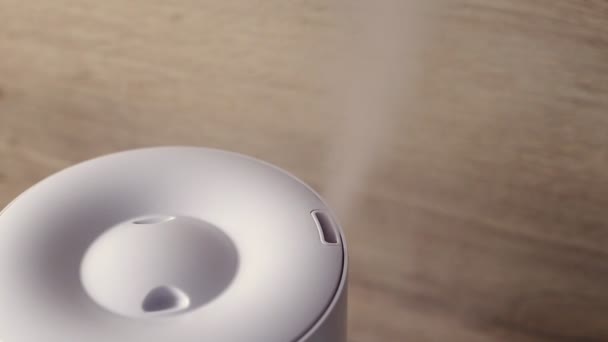 Humidificador doméstico esparciendo vapor en la sala de estar — Vídeo de stock