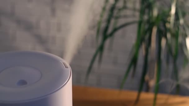 Huishoudelijke luchtbevochtiger verspreidt stoom in de woonkamer met homeplant achterin — Stockvideo