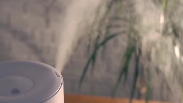 Haushaltsbefeuchter verteilt Dampf in das Wohnzimmer Hand berühren Dampf — Stockvideo