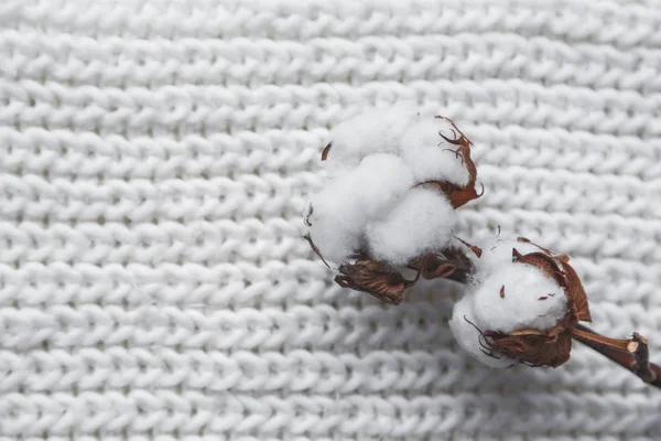 ニットキャップとスカーフで綿の花、大理石の背景に平らなレイアウト、冬のスタイル — ストック写真