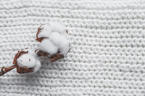 Flor de algodão com tampa de malha e cachecol, flat lay no fundo de mármore, estilo de inverno — Fotografia de Stock